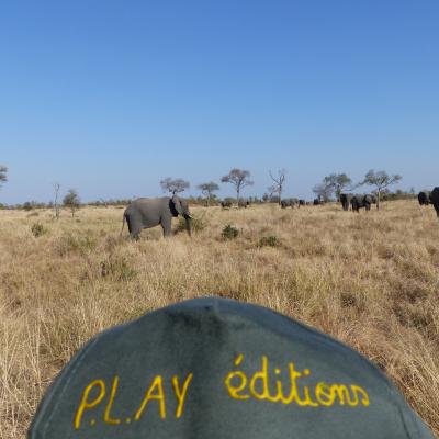 2017 07 Afrique du sud Elephants